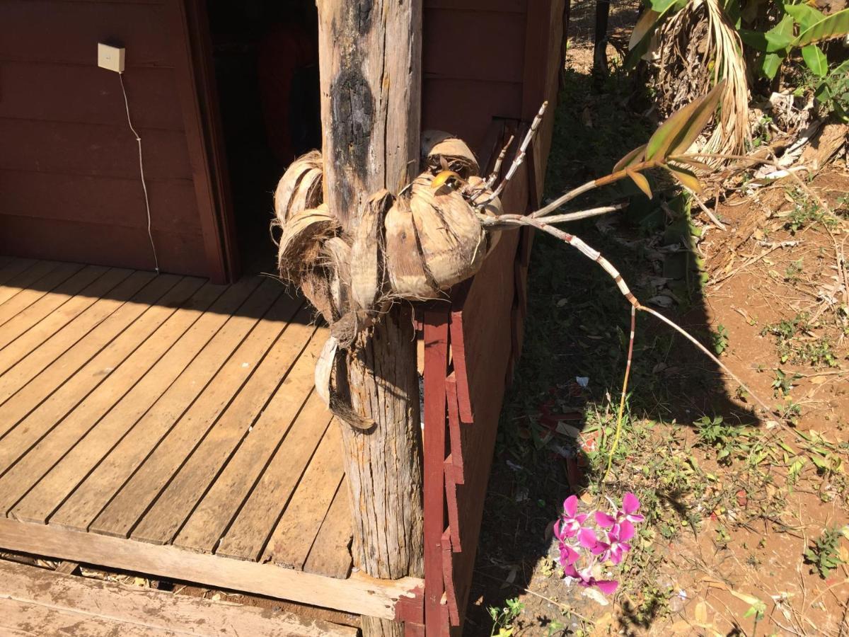 Tree Lodge Sen Monourom Bagian luar foto